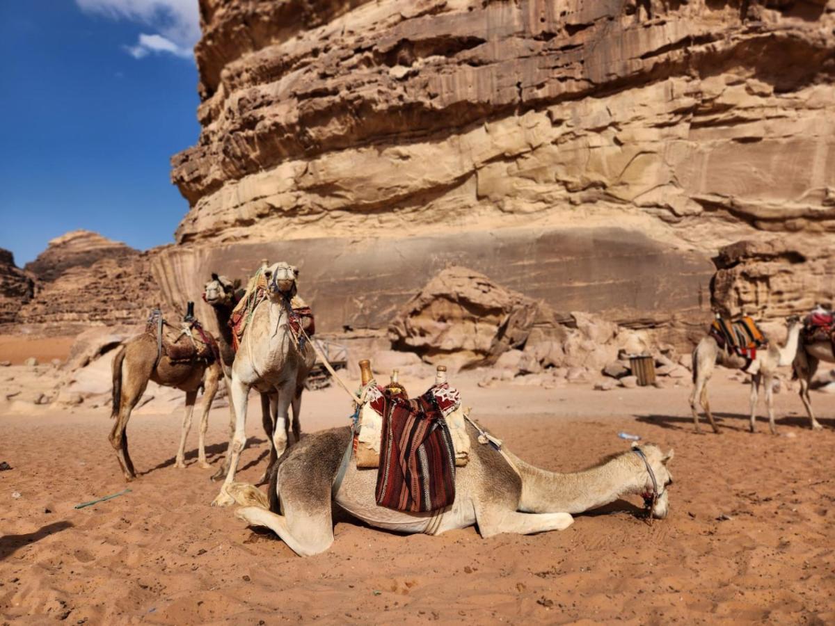 White Desert Camp Wadi Rum Exterior photo